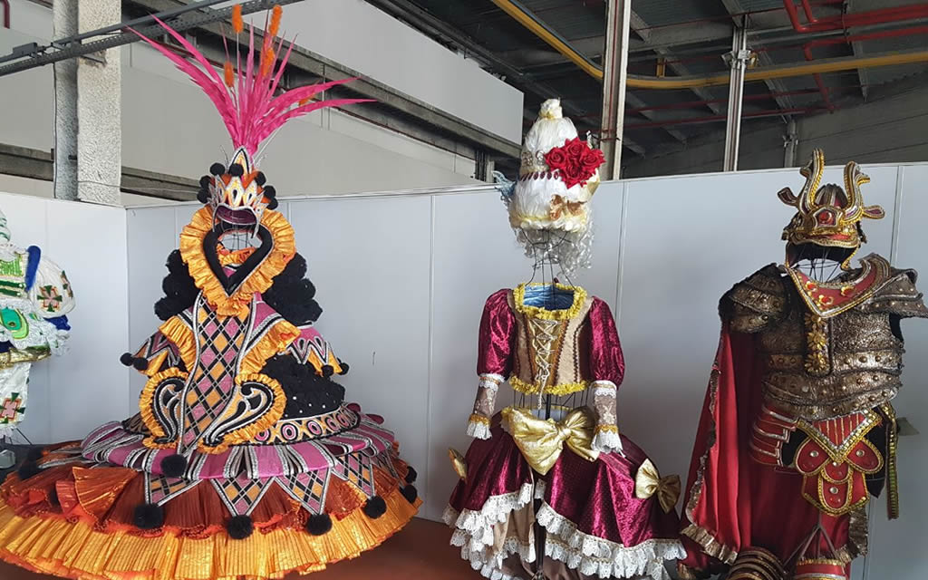 CARNAVAL EXPERIENCE NA GRANDE RIO